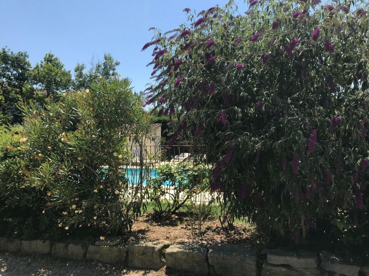 Les Buis Apartment Carpentras Bagian luar foto