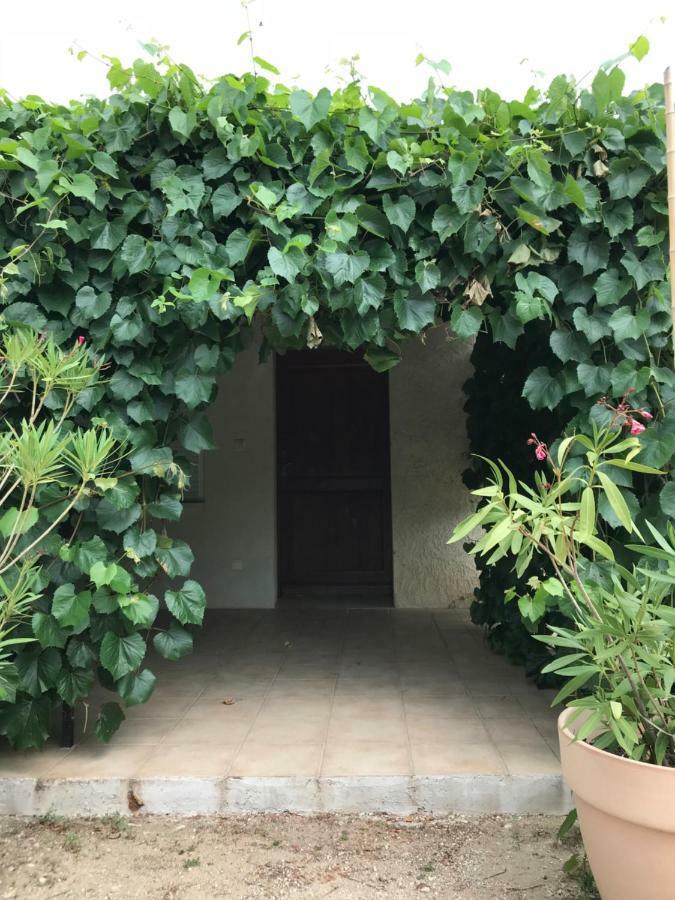 Les Buis Apartment Carpentras Bagian luar foto