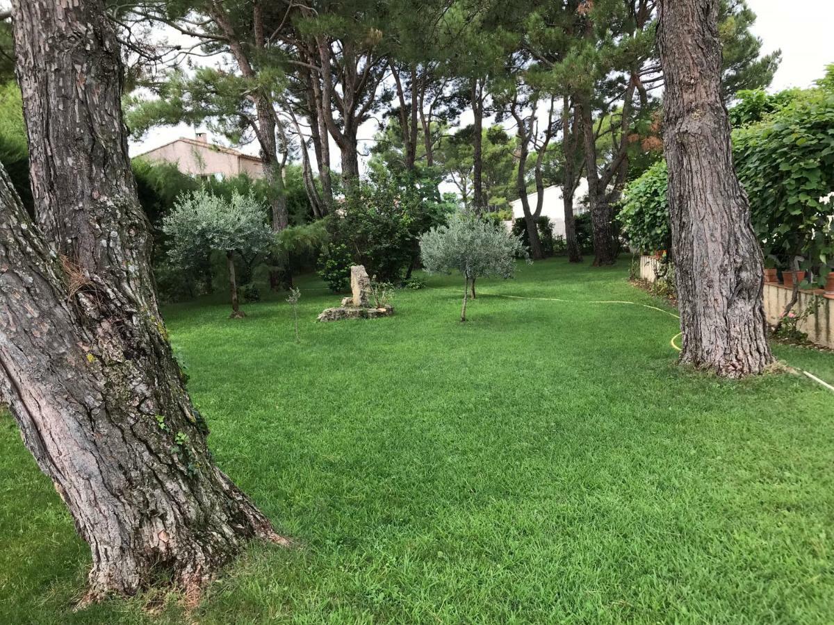 Les Buis Apartment Carpentras Bagian luar foto